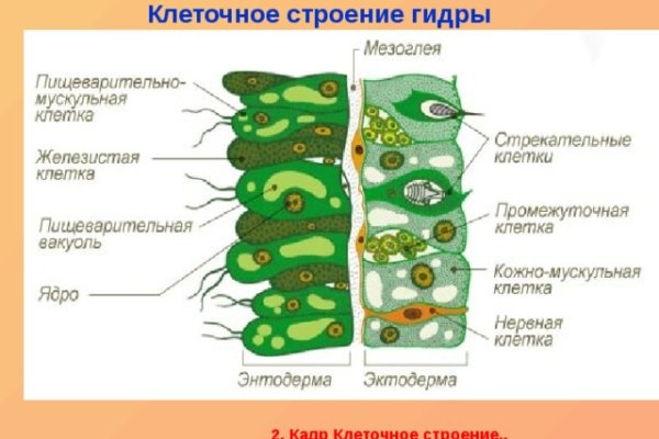 Омг работает