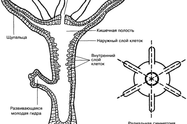 Омг сайт официальный